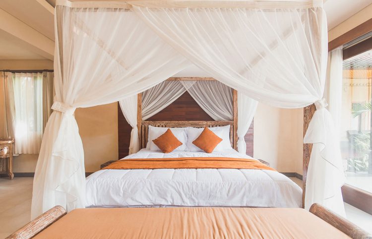 Maecenas ullamcorper